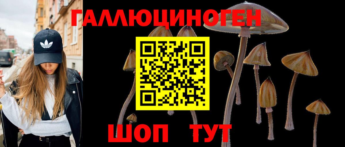 Галлюциногенные грибы Psilocybine cubensis Тара