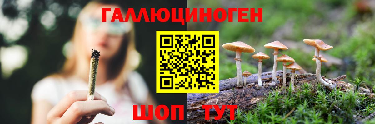 сколько стоит  Псилоцибиновые грибы Magic Shrooms  Вход с VPN  Тара 