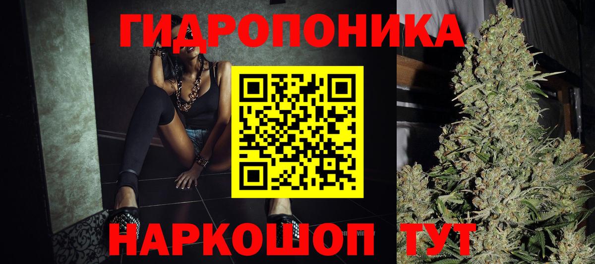 Бошки Шишки план  Марихуана THC 21%  МАРИХУАНА OG Kush  Тара  Вход с VPN  Канабис VHQ 